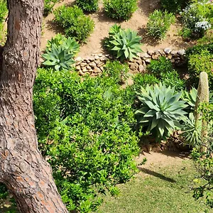 Elena Flat A Little Paradise Right On The Apartment
